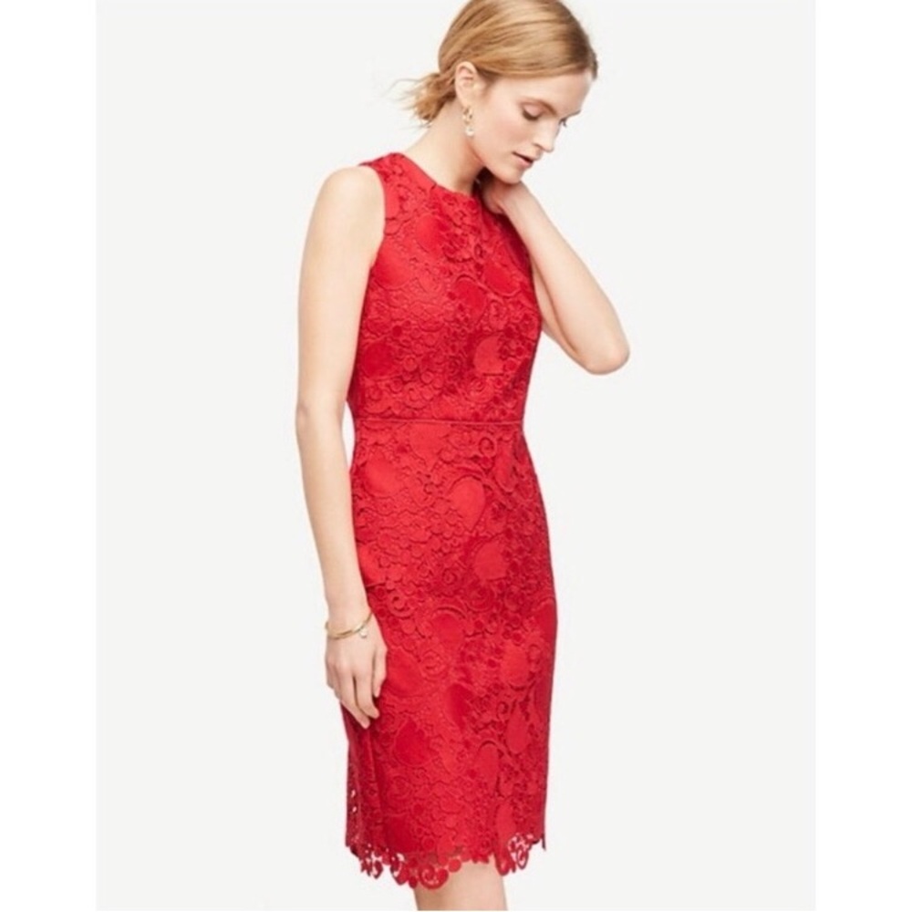 Ann Taylor sheath lace overlay midi dress